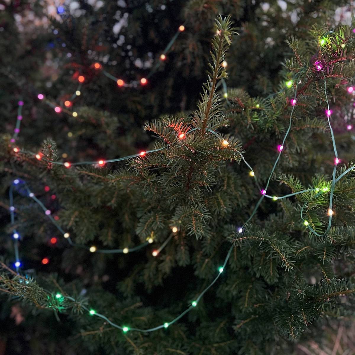https://cablesformac.com/36854-thickbox_default/tuya-smart-10m-christmas-tree-light-chain-w-wifi-100-lights-and-ip65.jpg
