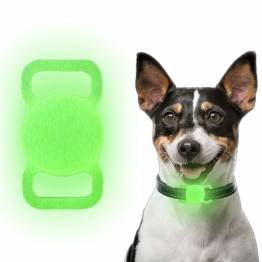 Luminous AirTag holder for pets in silicone - Green