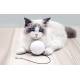 Homerunpet Smart Toy interactive cat toy with bell on a string