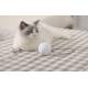 Homerunpet Smart Toy interactive cat toy with bell on a string