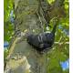 Bird geocache container with space for bison - 11cm - 3D printed - Black