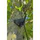 Bird geocache container with space for bison - 11cm - 3D printed - Black