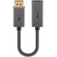 DisplayPort for HDMI she adapter Ugreen
